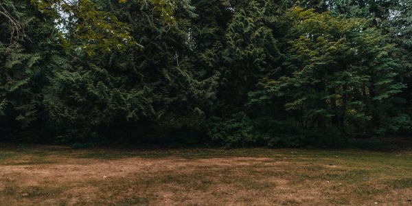 Co musisz wiedzieć przed inwestycją w grunty, działki?