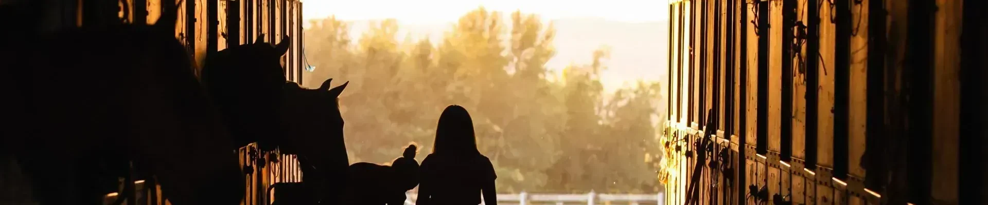 Ile kosztuje budowa budynku gospodarczego?