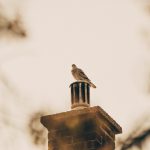 jak naprawić pęknięty komin z cegły