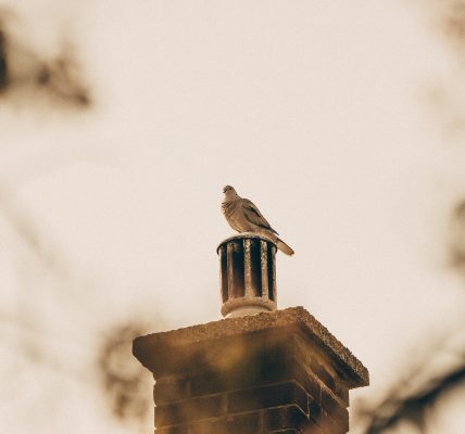 jak naprawić pęknięty komin z cegły
