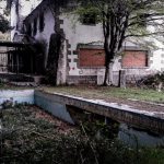 zaniedbana działka gdzie zgłosić