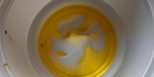 jak wybielić pożółkły plastik
