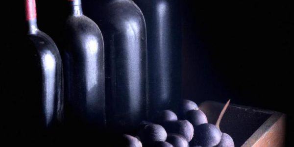 Jak wykonać i jakie zalety ma piwniczna na wino w ogrodzie?