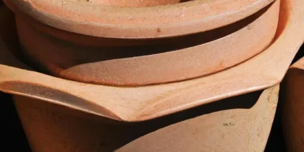 ogród